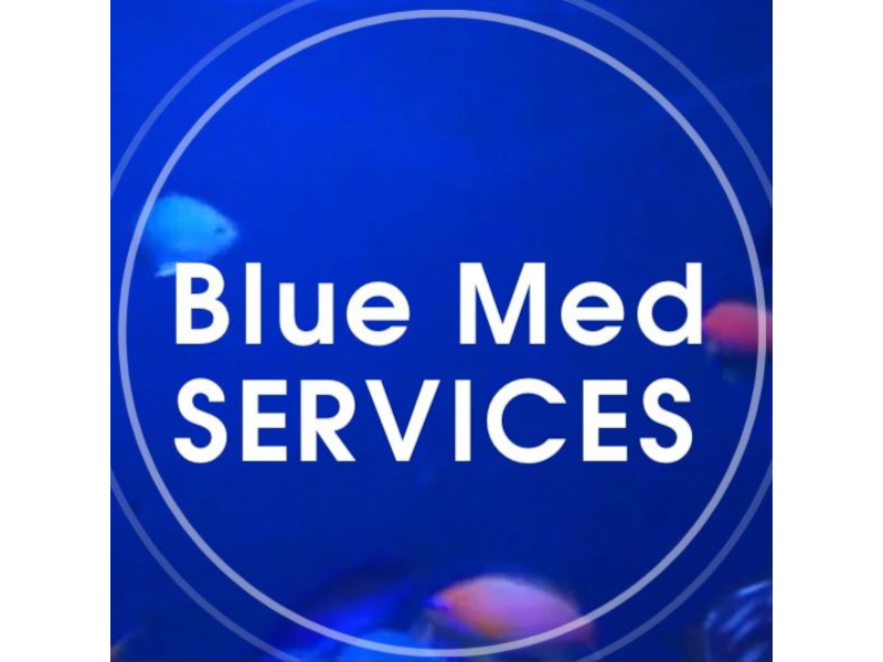 Blue Med Services