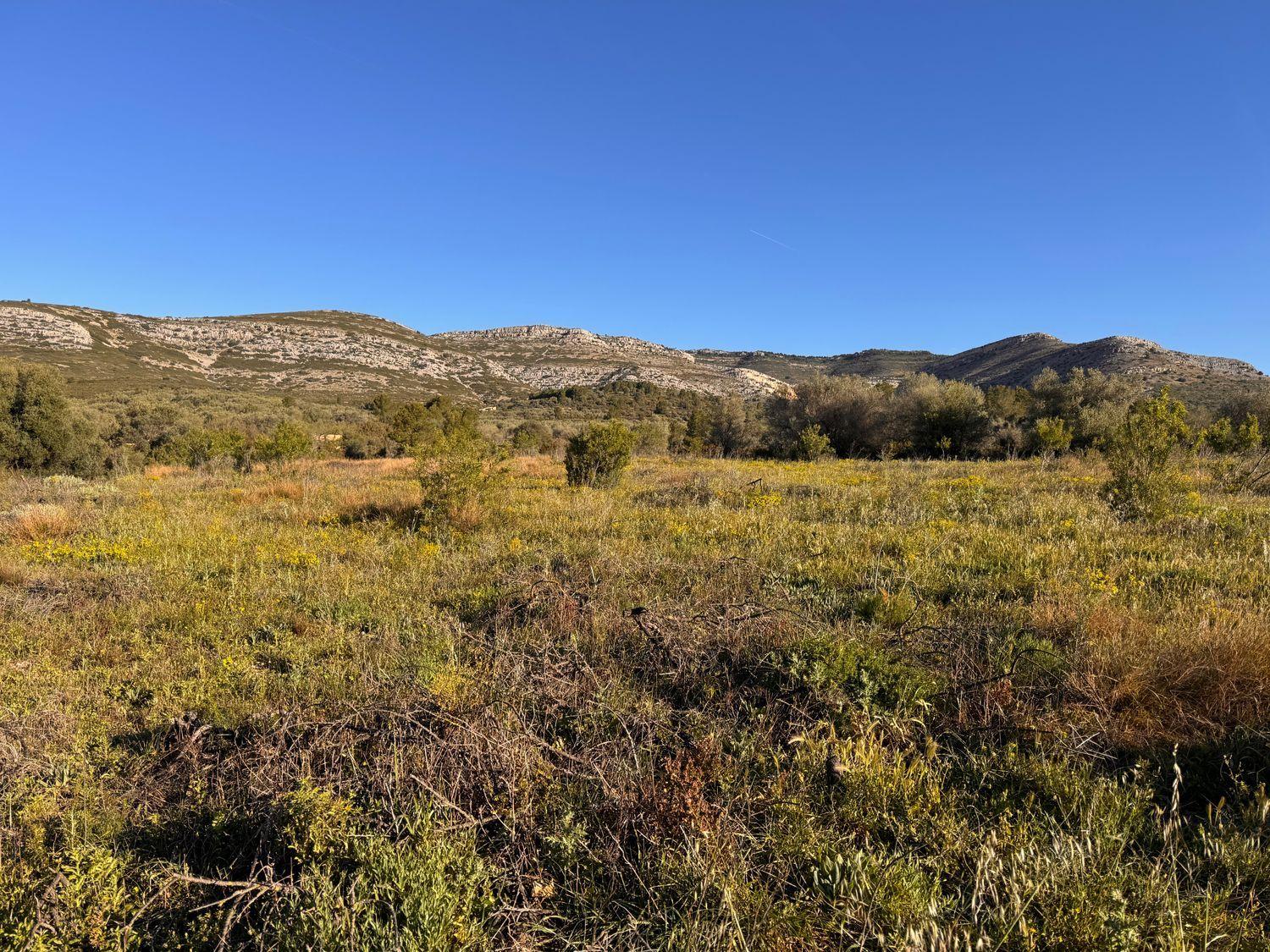 Building Site for Sale in Sant Mateu