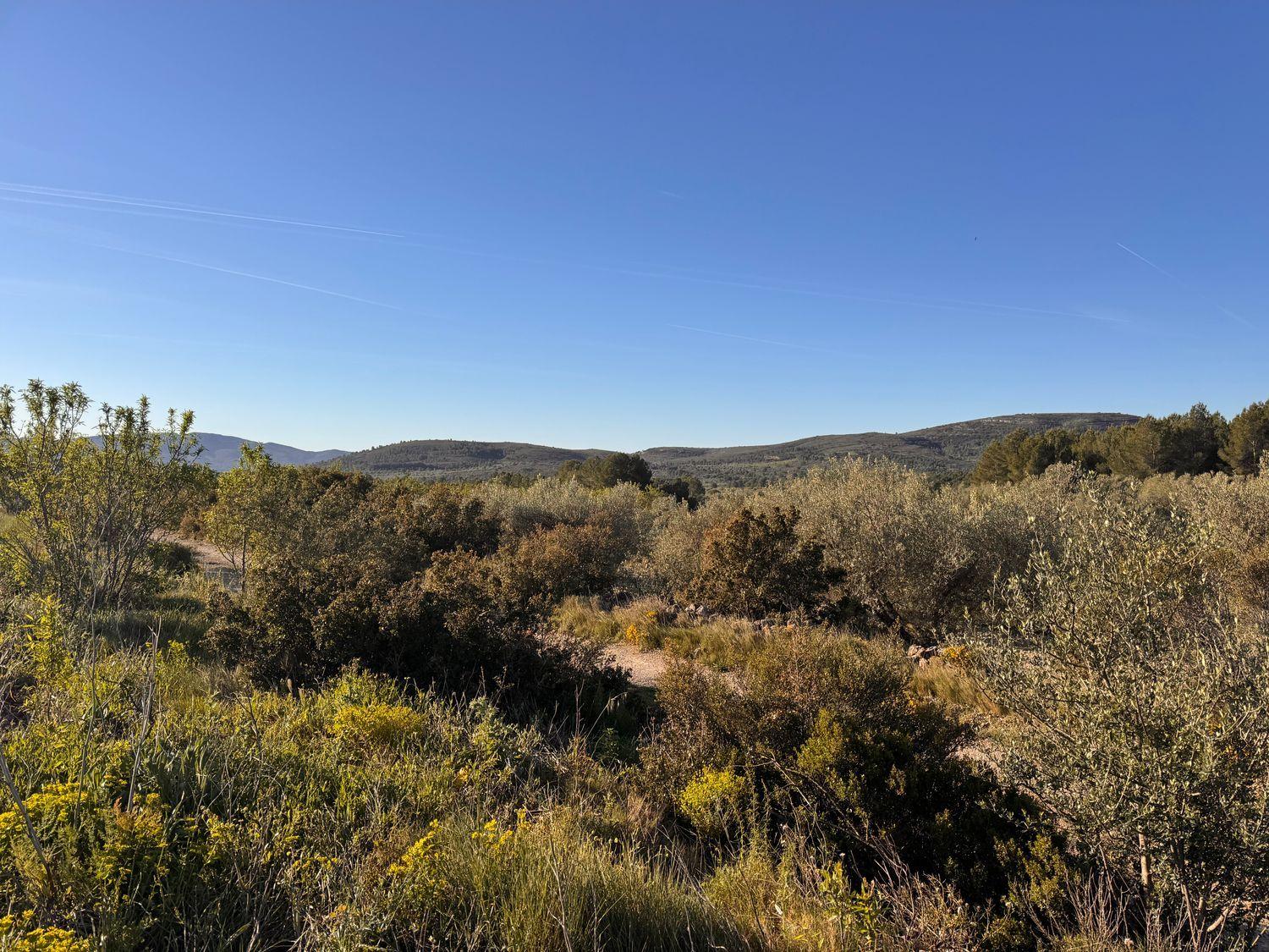 Building Site for Sale in Sant Mateu
