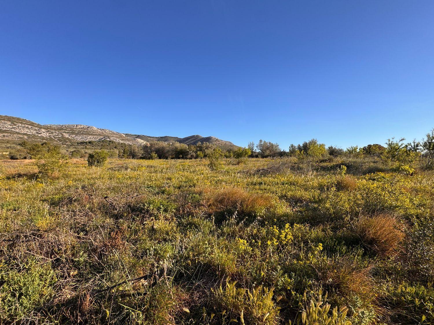 Building Site for Sale in Sant Mateu