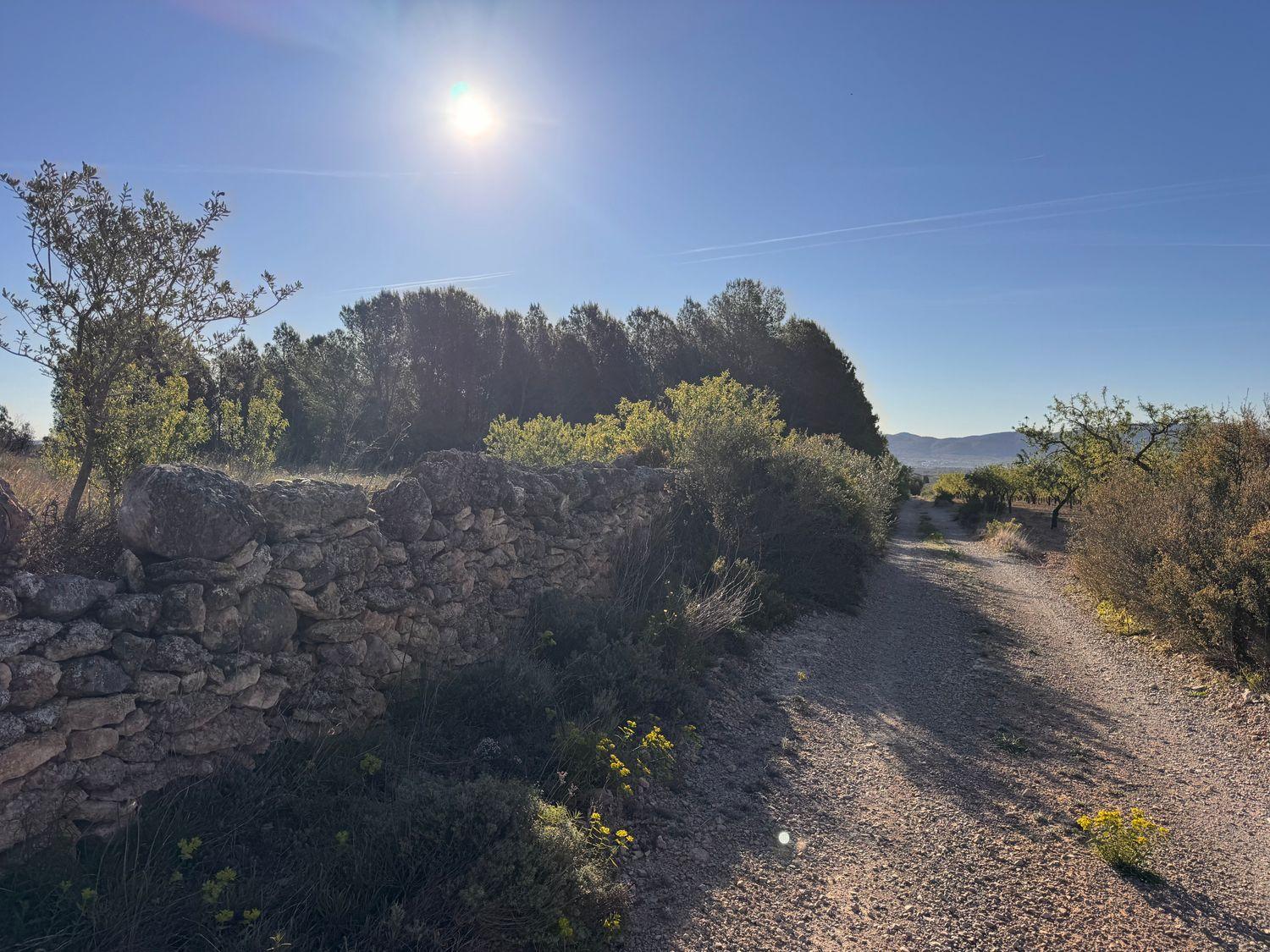 Building Site for Sale in Sant Mateu