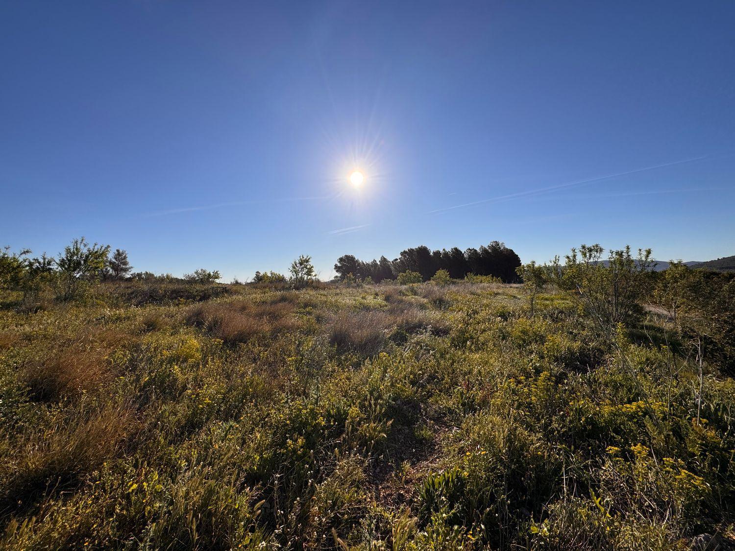 Building Site for Sale in Sant Mateu