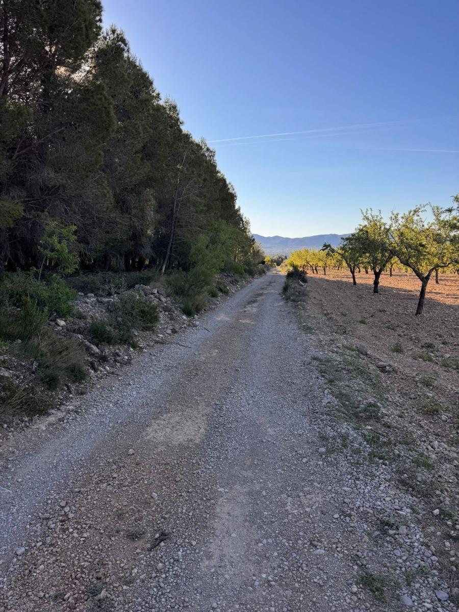 Building Site for Sale in Sant Mateu