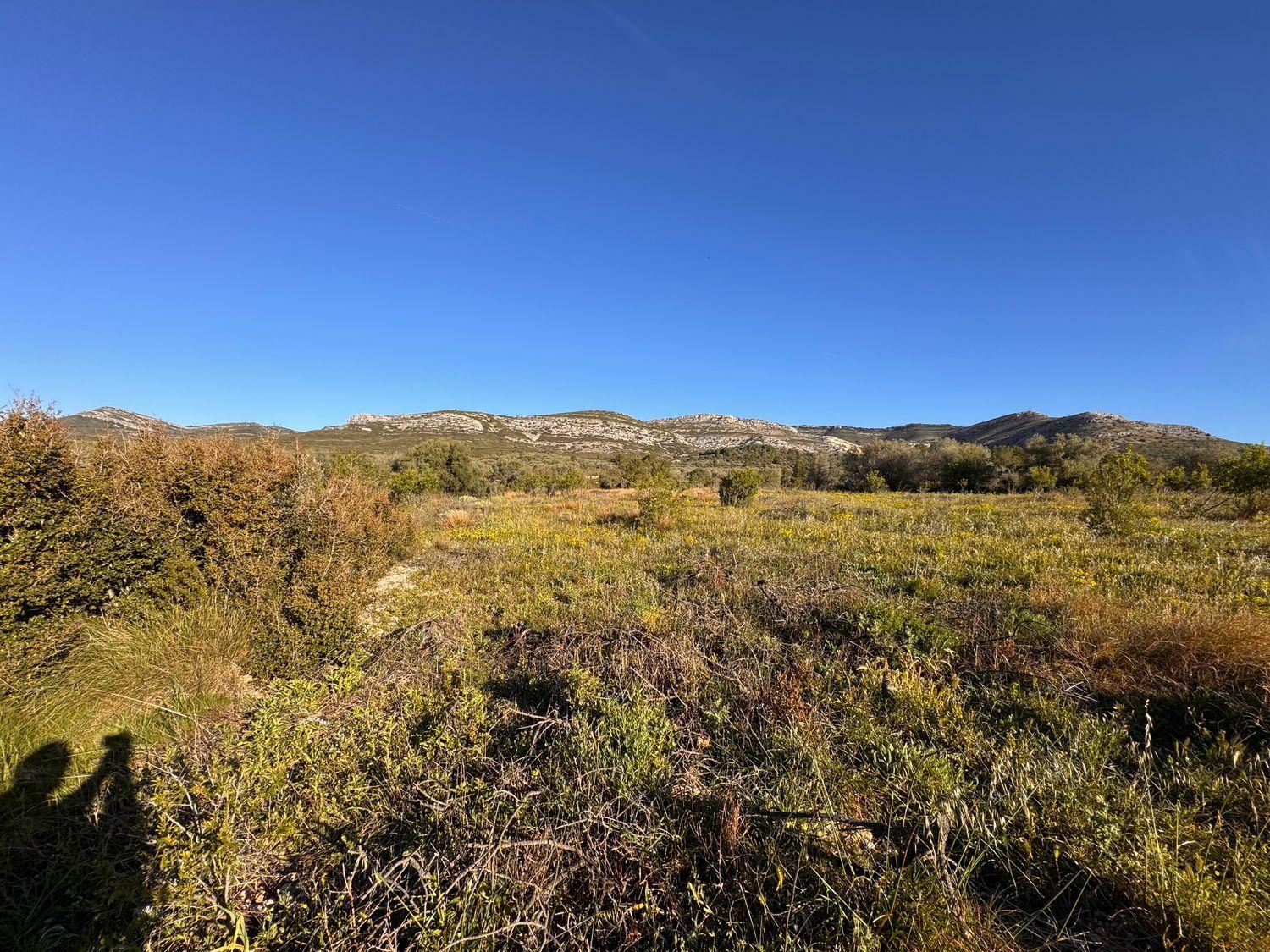 Building Site for Sale in Sant Mateu