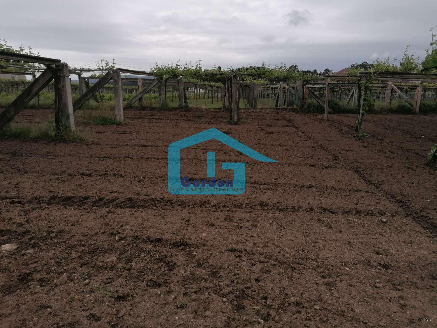 Casa en Venta en Cambados