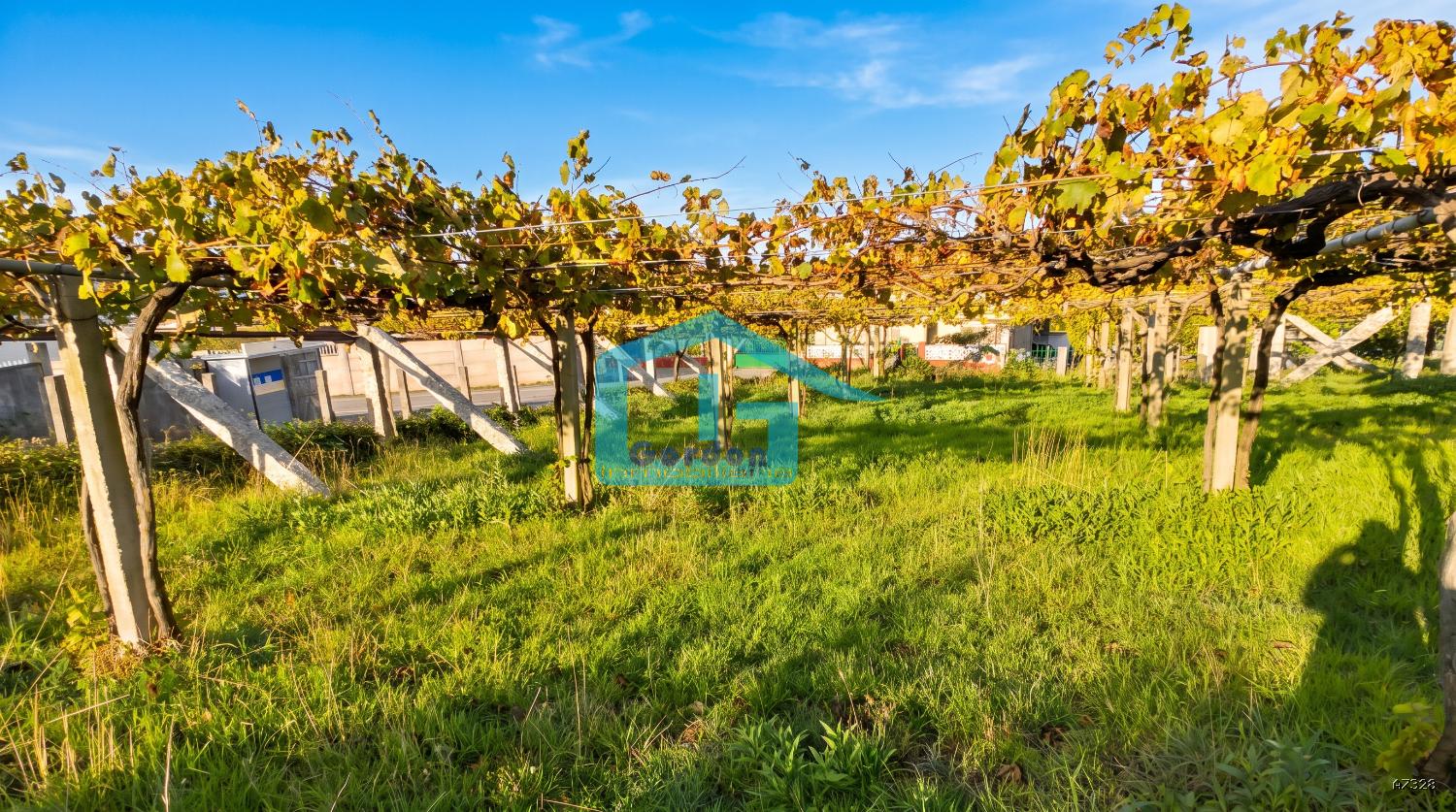 Finca en Venta en Sanxenxo