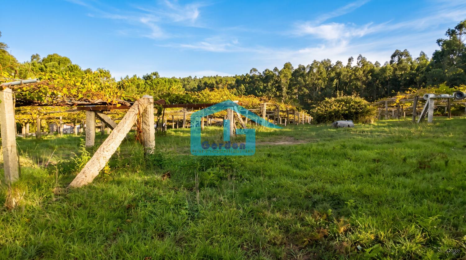 Finca en Venta en Sanxenxo