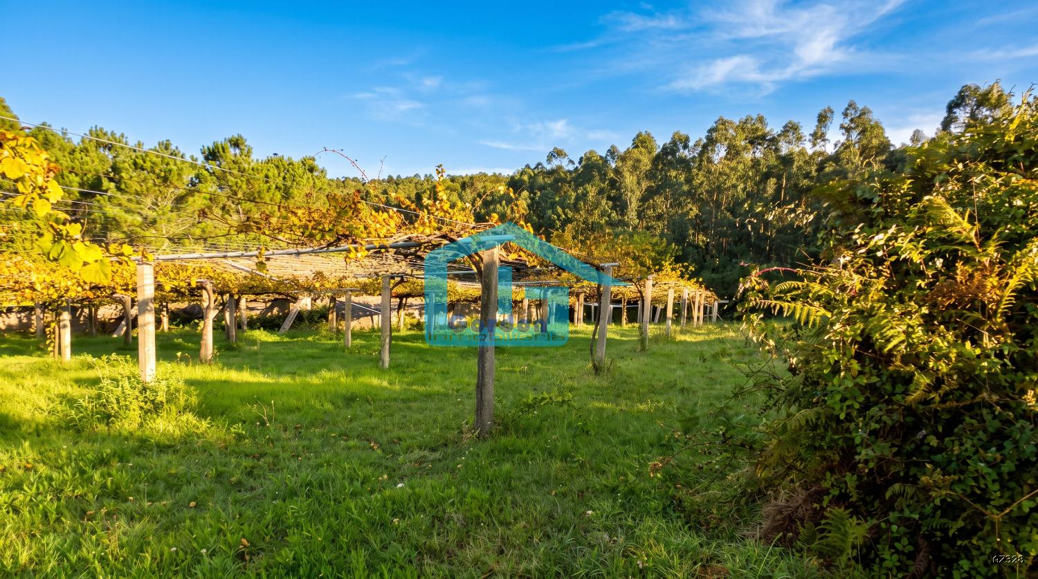 Finca en Venta en Sanxenxo