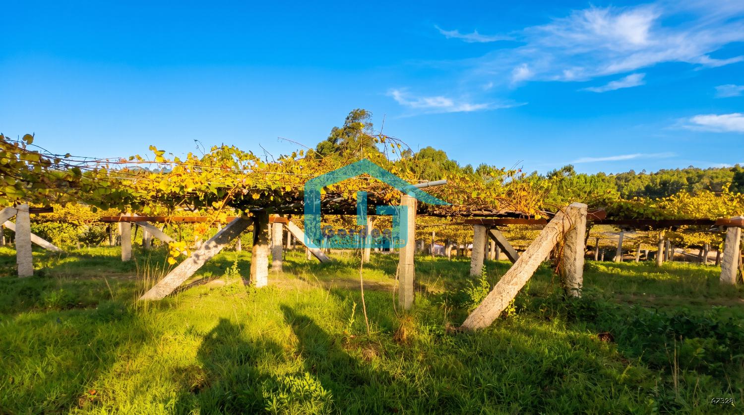 Finca en Venta en Sanxenxo