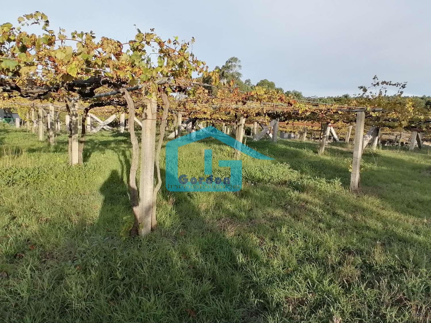 Finca en Venta en Sanxenxo