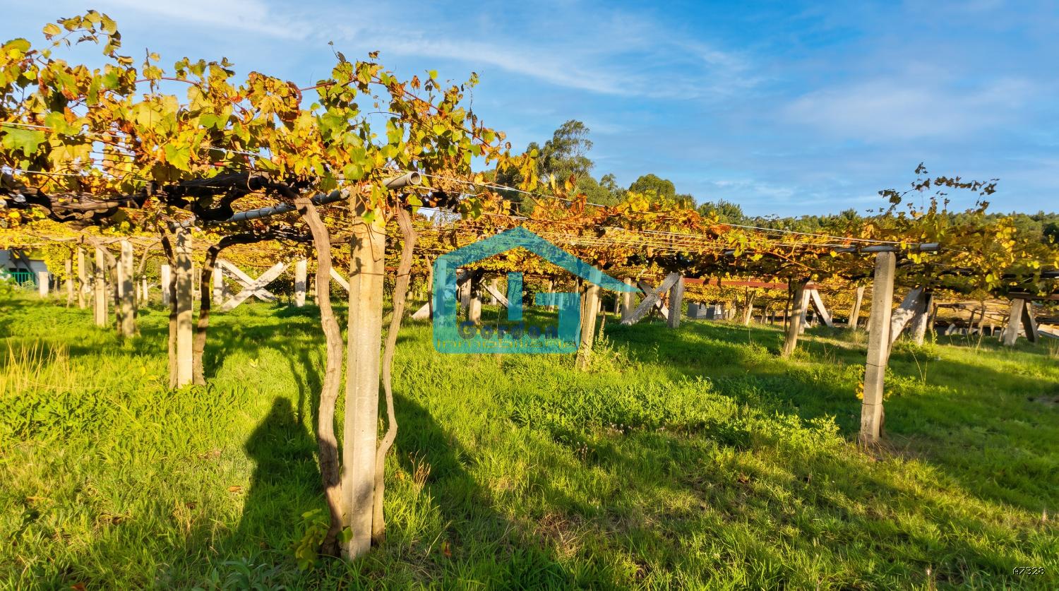Finca en Venta en Sanxenxo