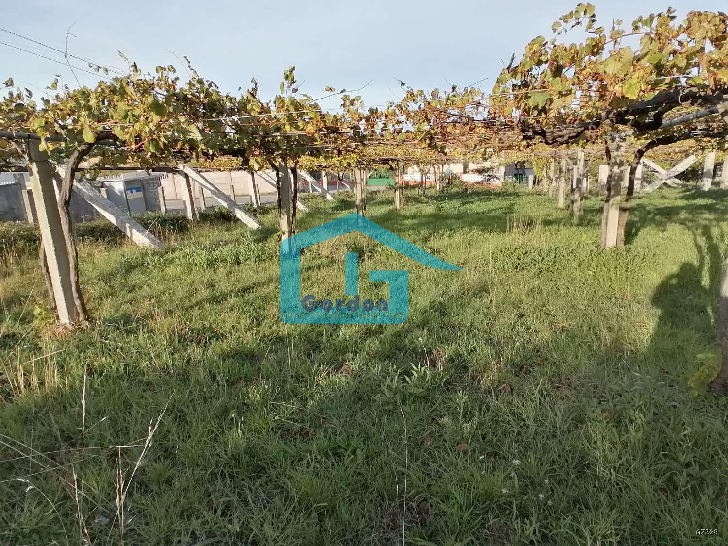 Finca en Venta en Sanxenxo