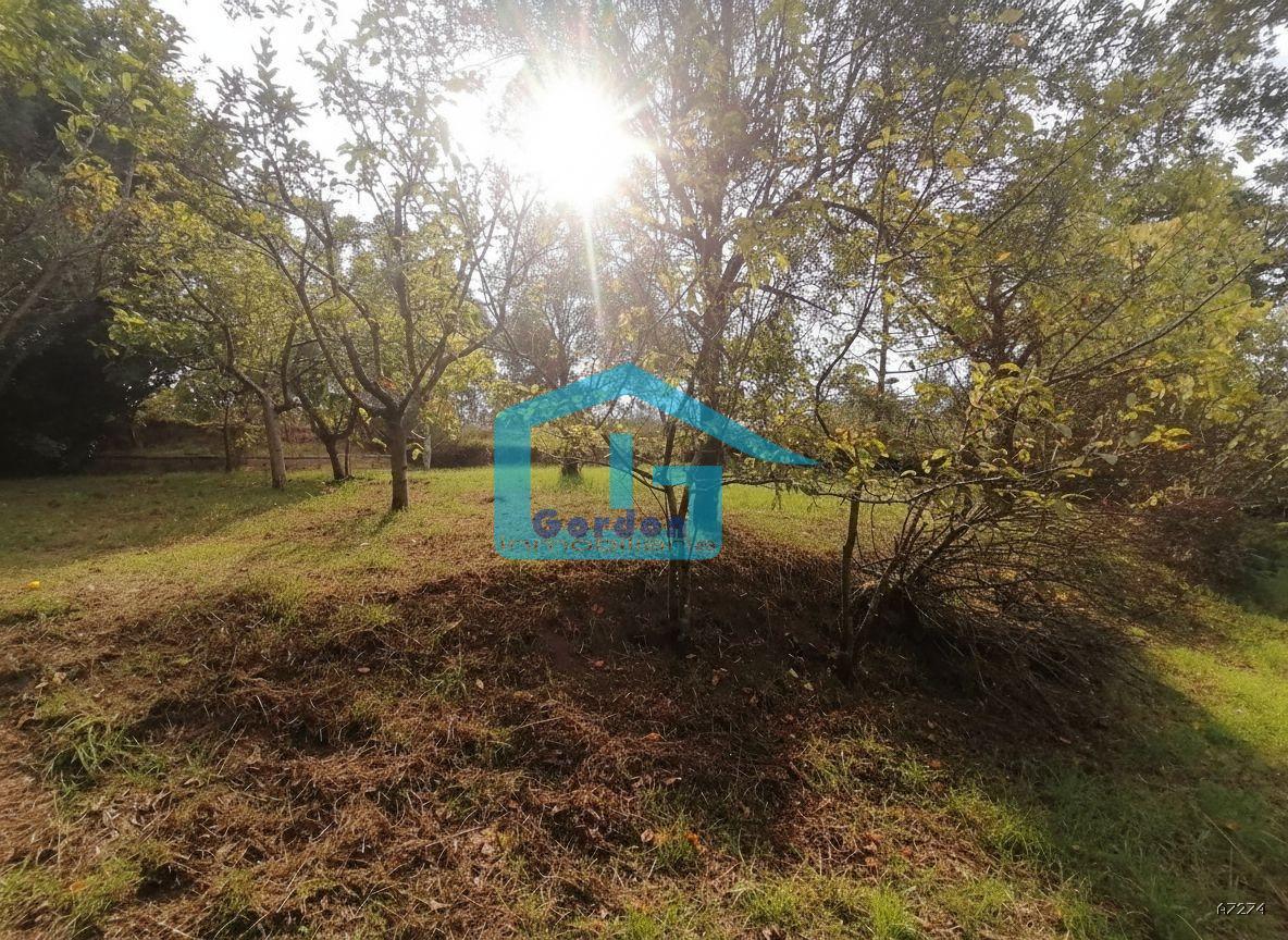 Chalet for Sale in Sanxenxo