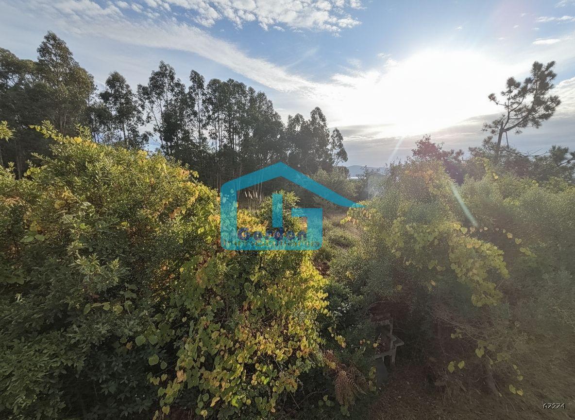 Chalet for Sale in Sanxenxo