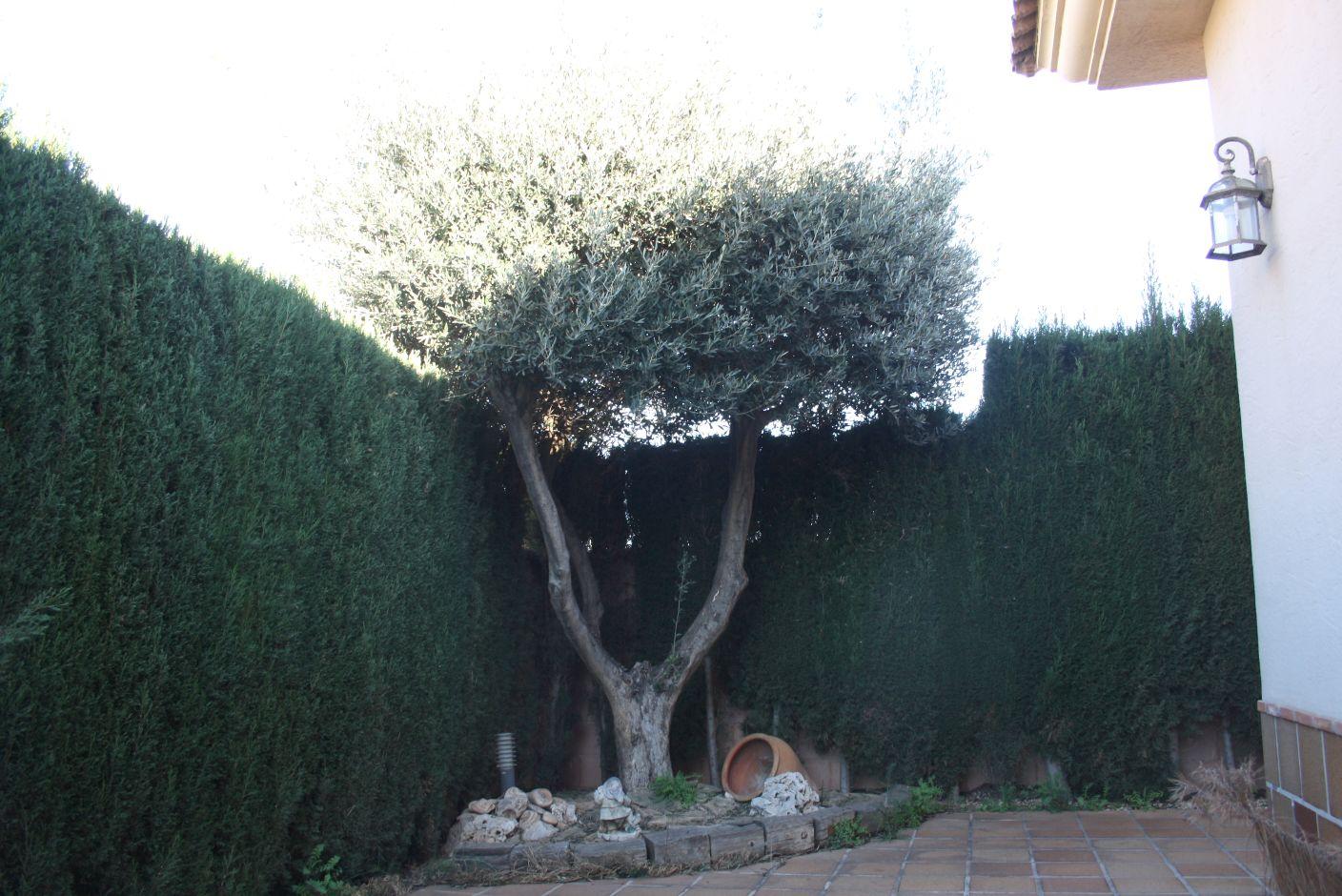 Villa for Sale in Cartagena