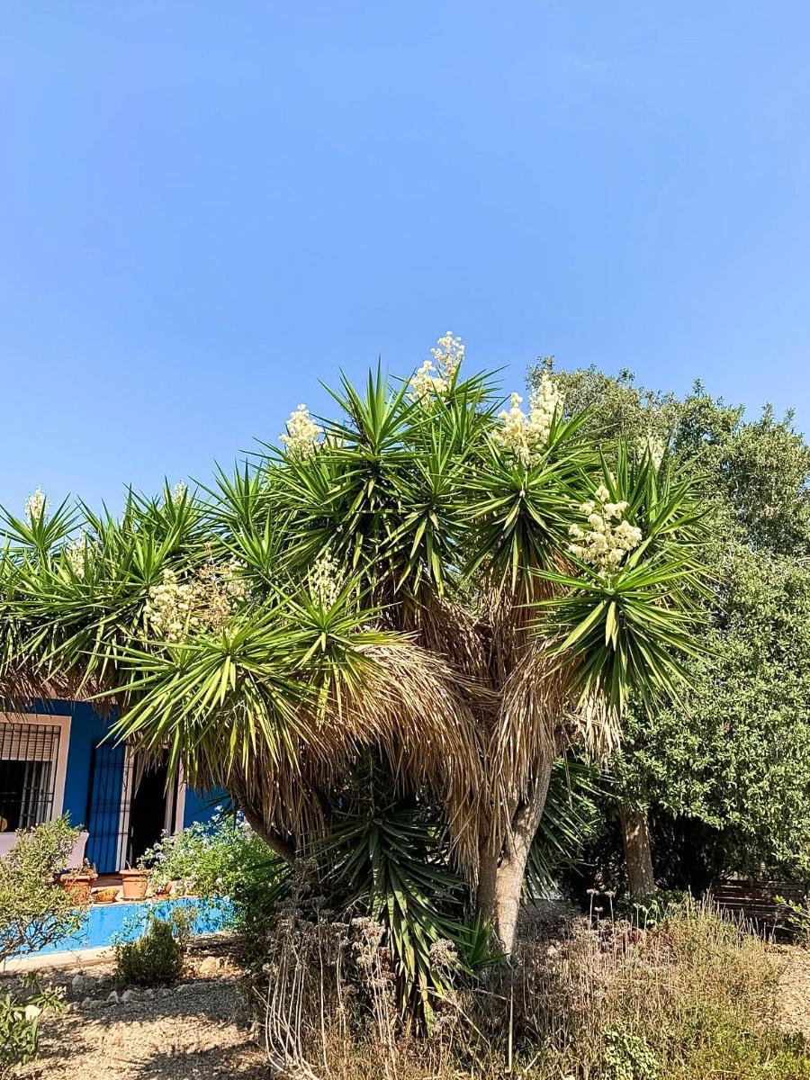Villa for Sale in Murcia