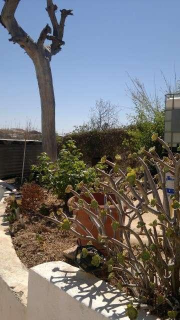 Villa for Sale in Cartagena