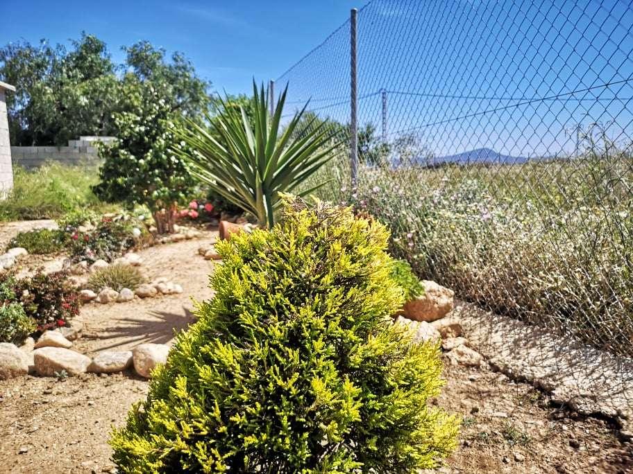 Building Site for Sale in Fuente Álamo de Murcia