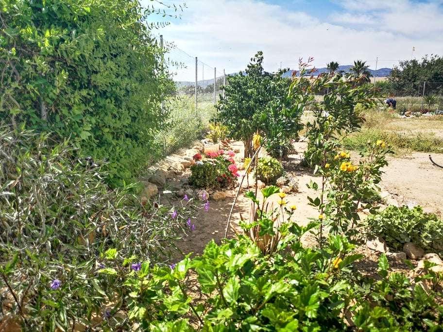 Building Site for Sale in Fuente Álamo de Murcia