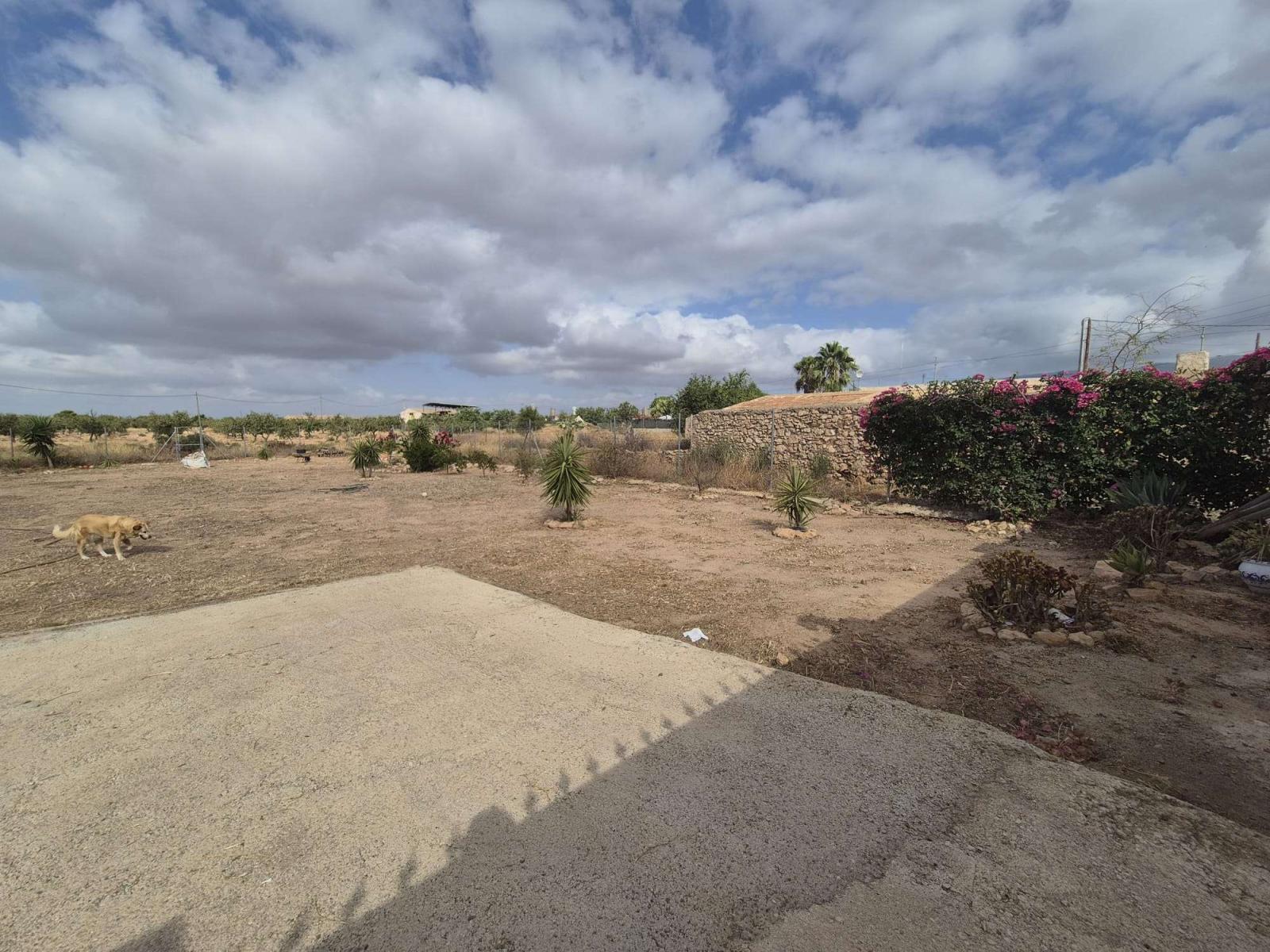Building Site for Sale in Fuente Álamo de Murcia