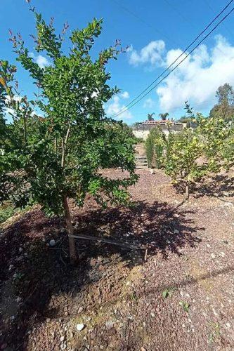 Villa for Sale in Totana