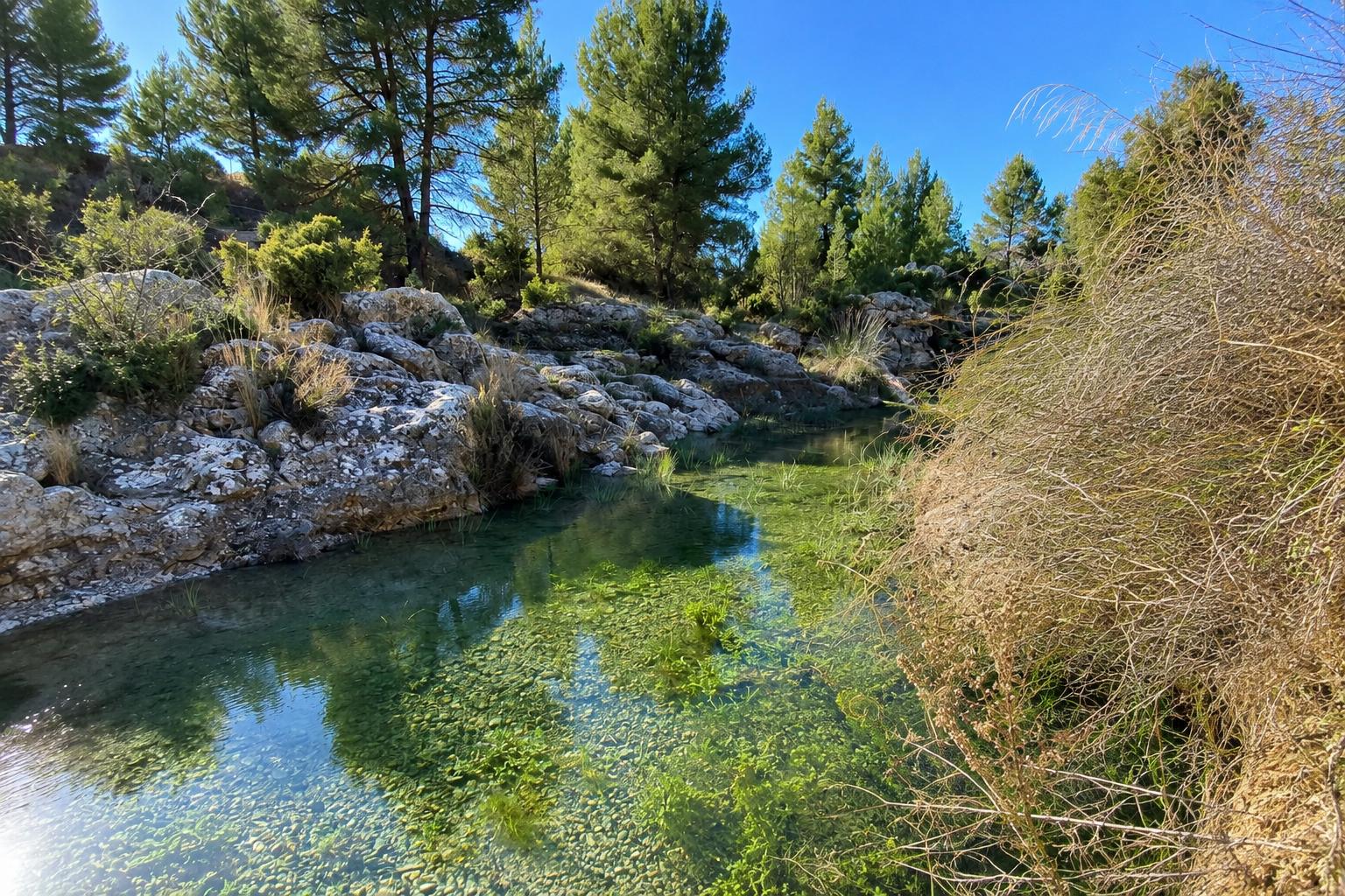 Villa for Sale in Bullas