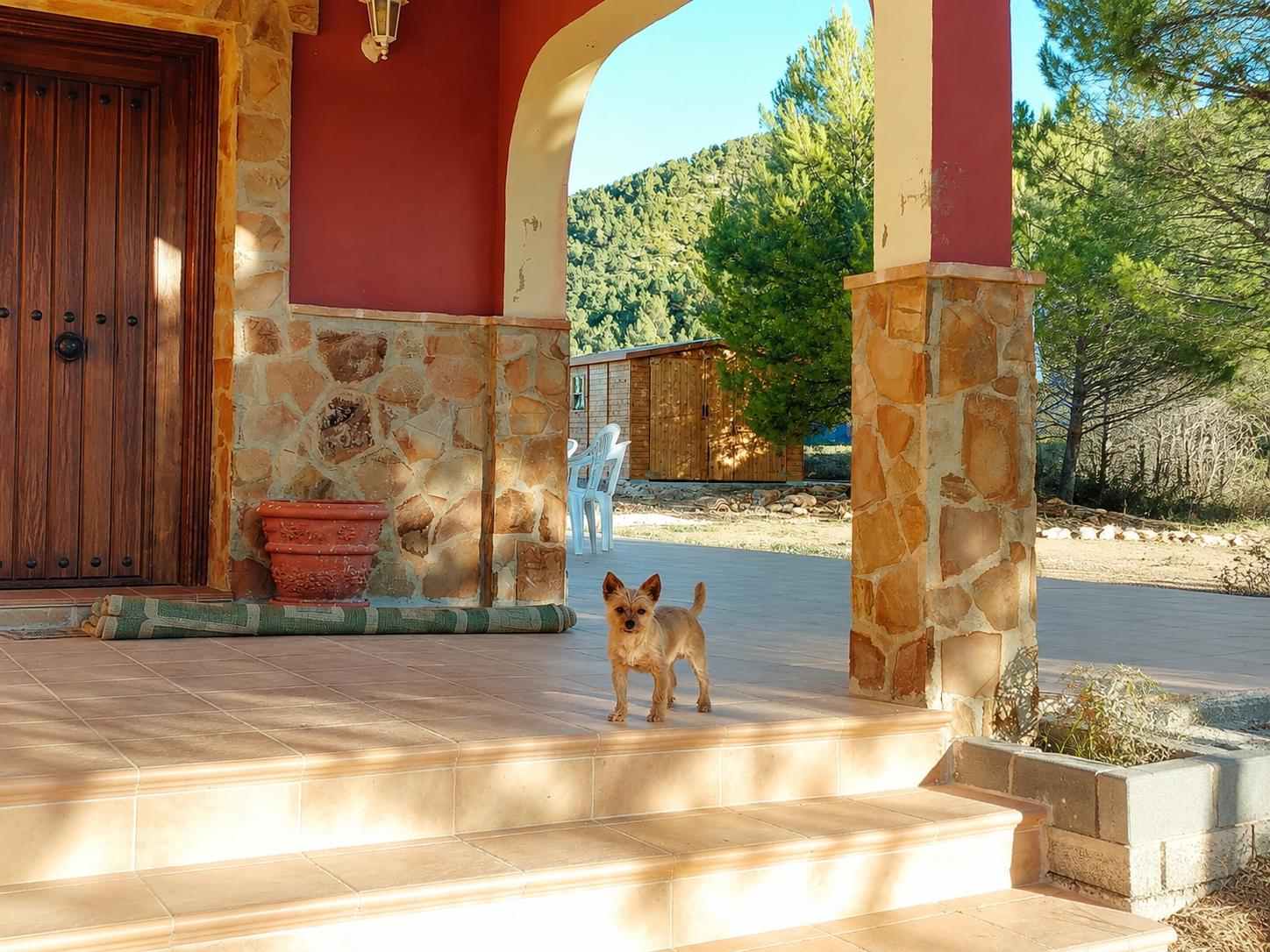 Villa for Sale in Bullas