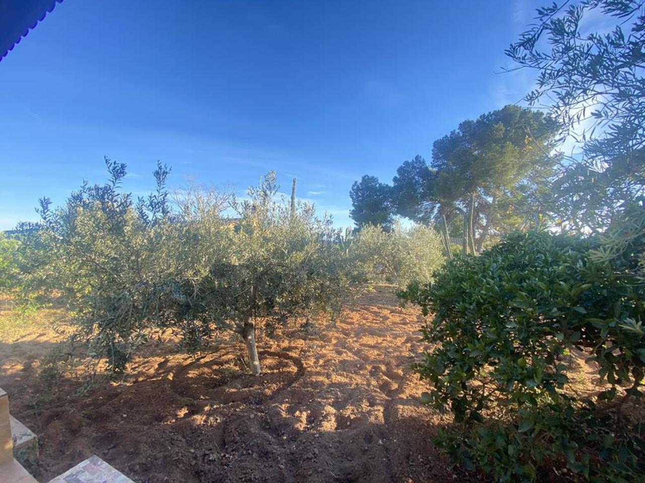 Villa for Sale in Murcia