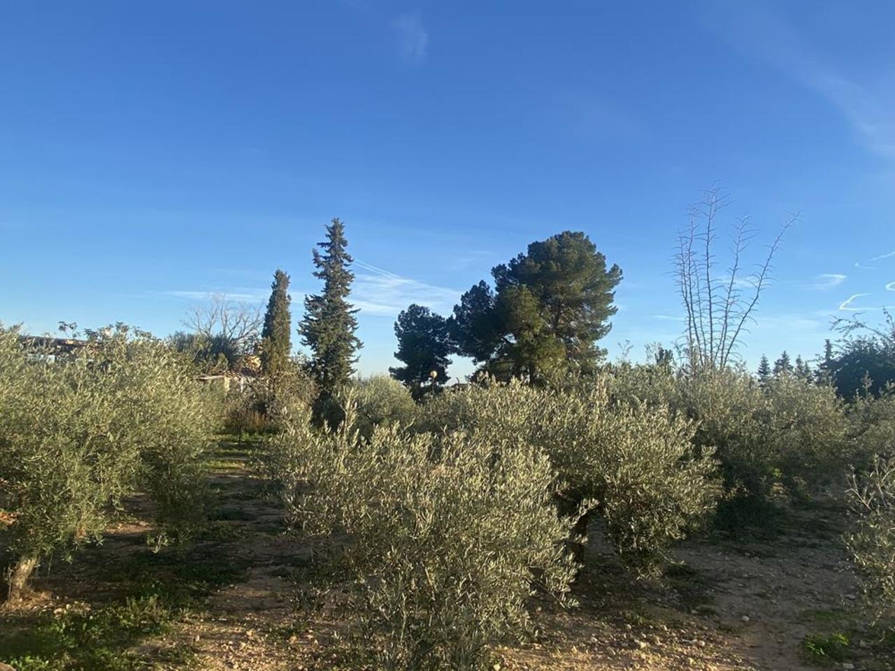 Villa for Sale in Murcia