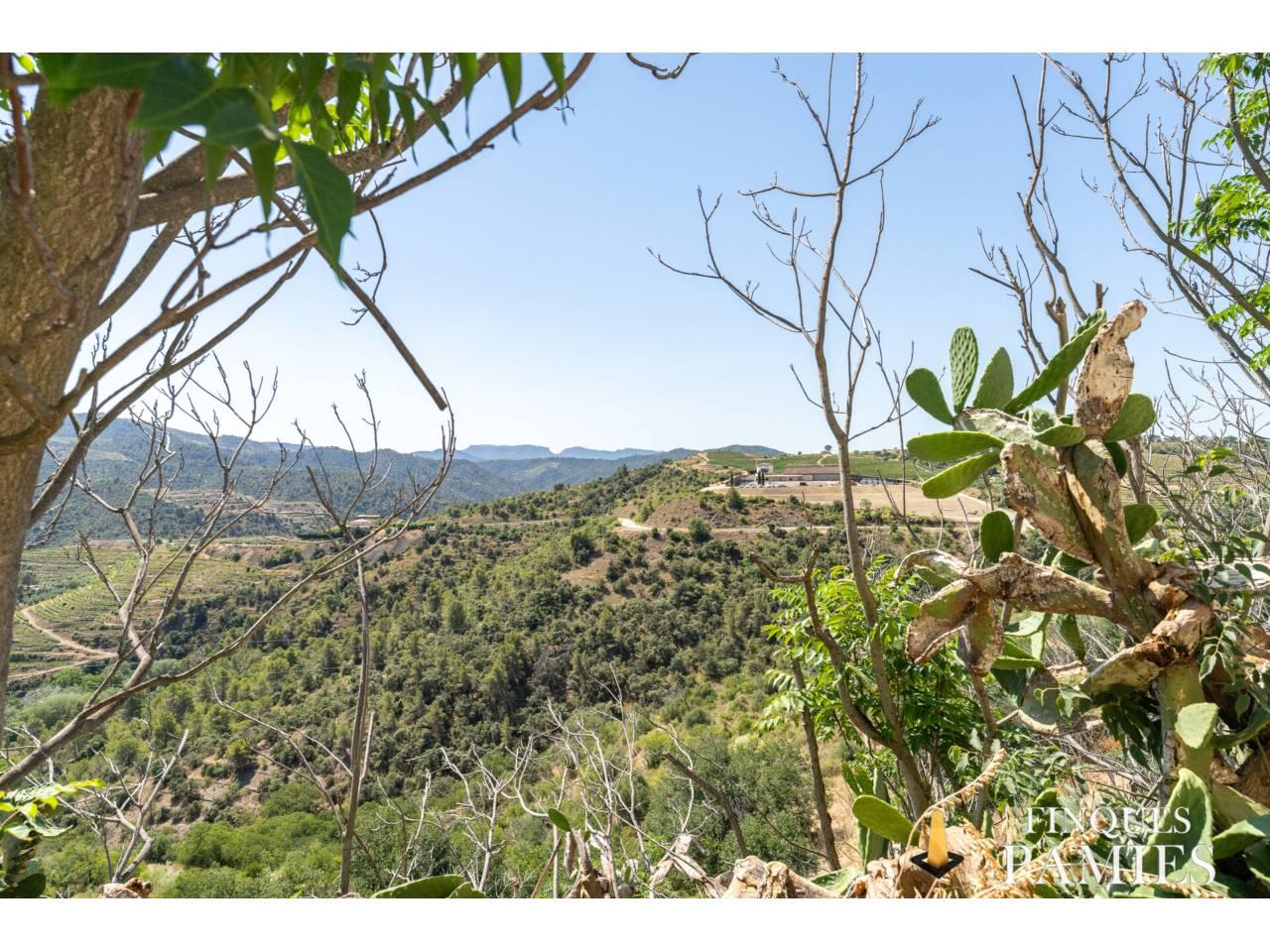Casa en Venta en Gratallops