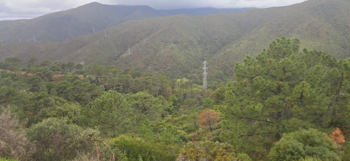 Plot for Sale in Benahavís