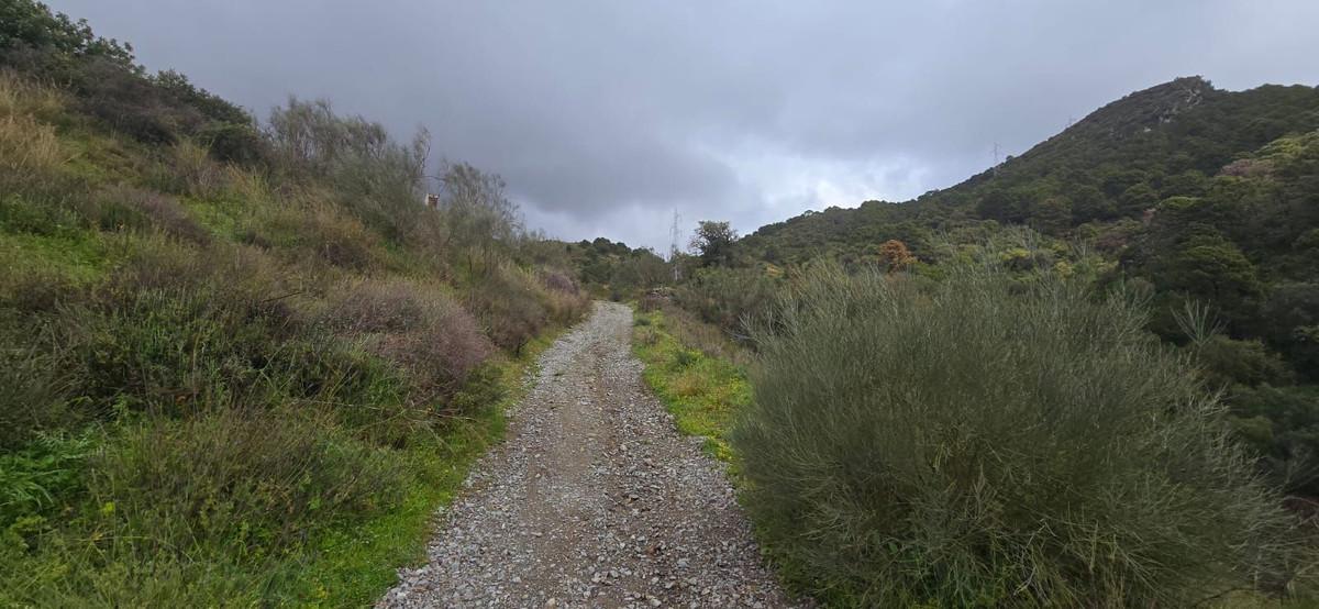 Plot for Sale in Benahavís