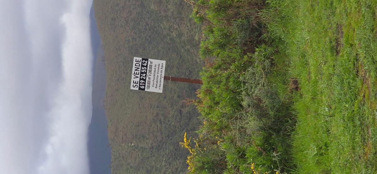 Plot for Sale in Benahavís