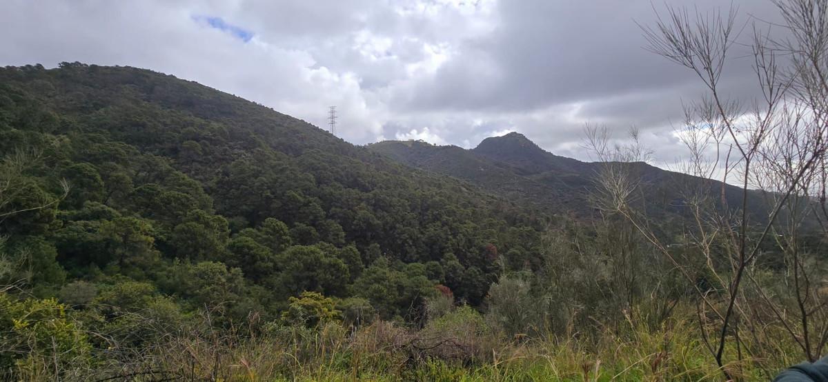 Plot for Sale in Benahavís