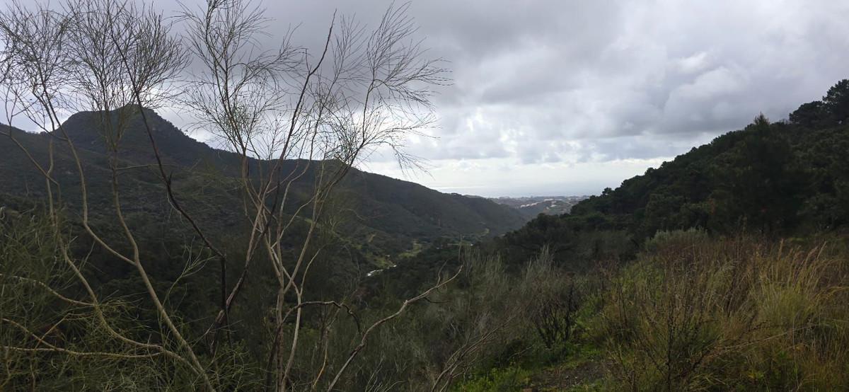 Plot for Sale in Benahavís