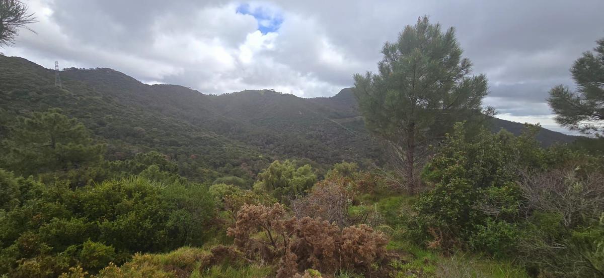 Plot for Sale in Benahavís