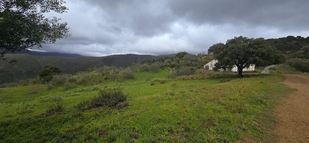 Plot for Sale in Benahavís