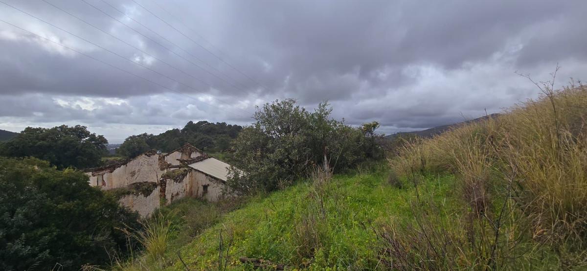Plot for Sale in Benahavís
