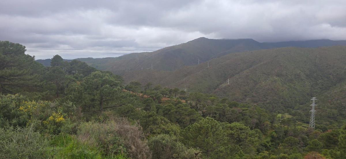 Plot for Sale in Benahavís