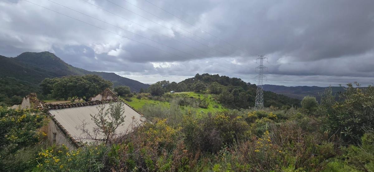 Plot for Sale in Benahavís