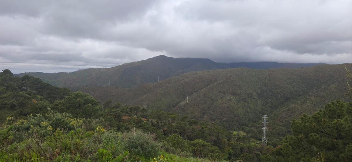 Plot for Sale in Benahavís
