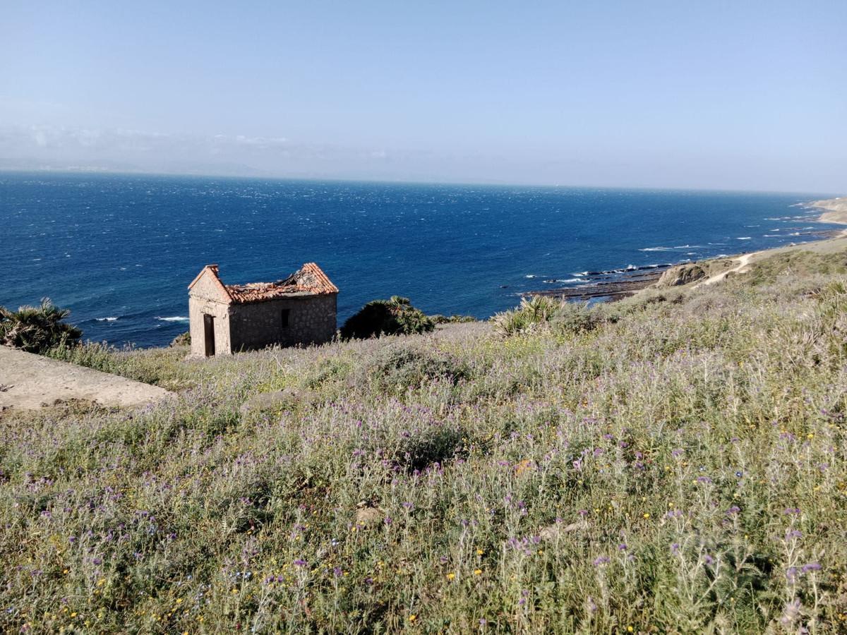 Plot for Sale in Tarifa