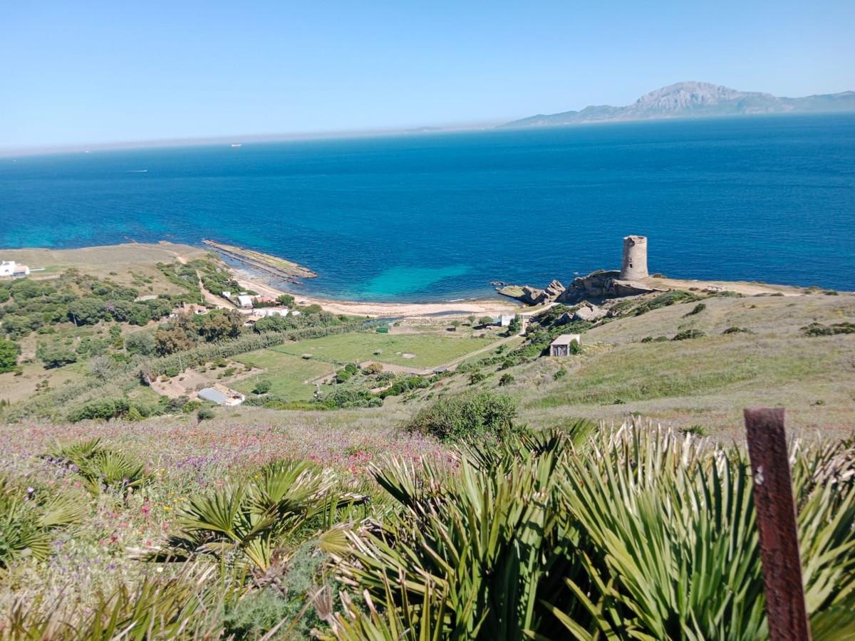 Plot for Sale in Tarifa