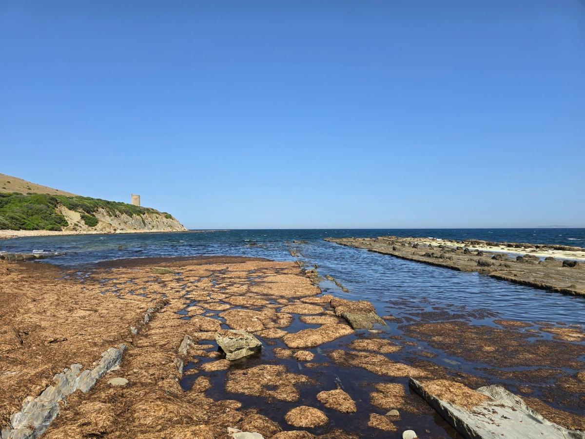 Plot for Sale in Tarifa