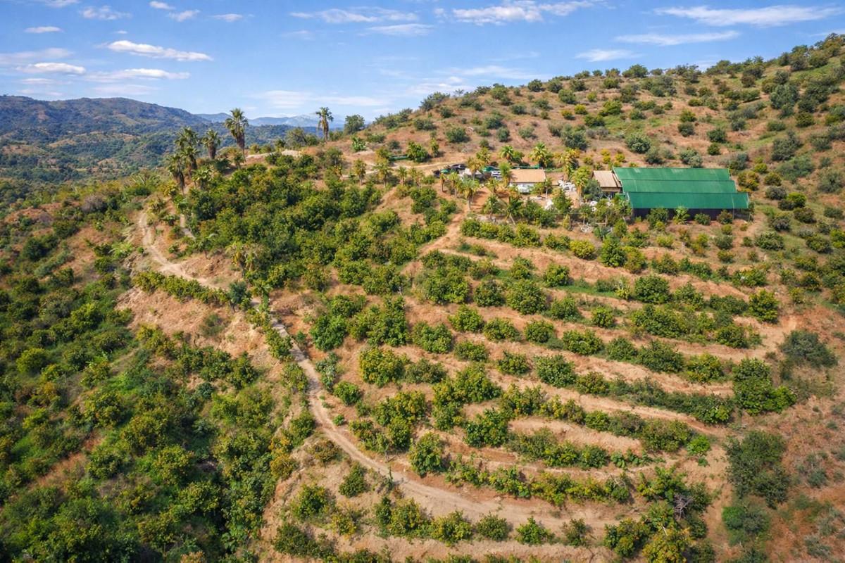Villa for Sale in Guaro
