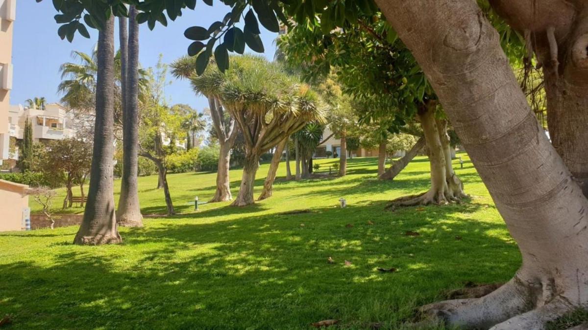 Studio for Rent in Marbella