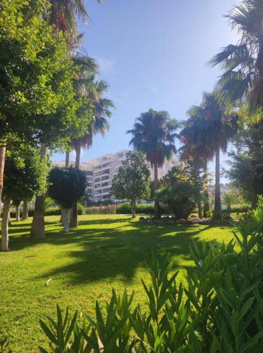 Studio for Rent in Marbella