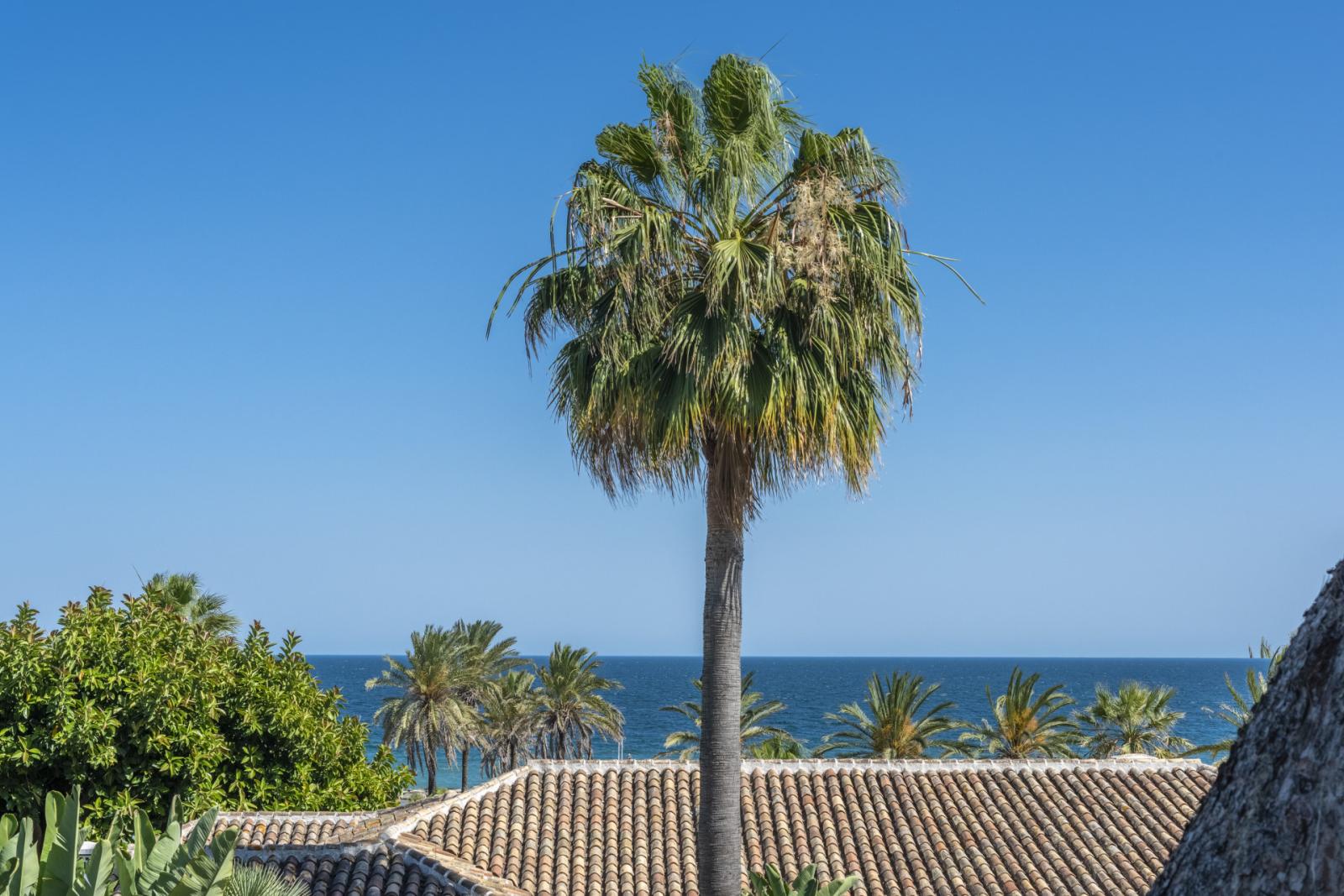 Ático en Venta en Marbella