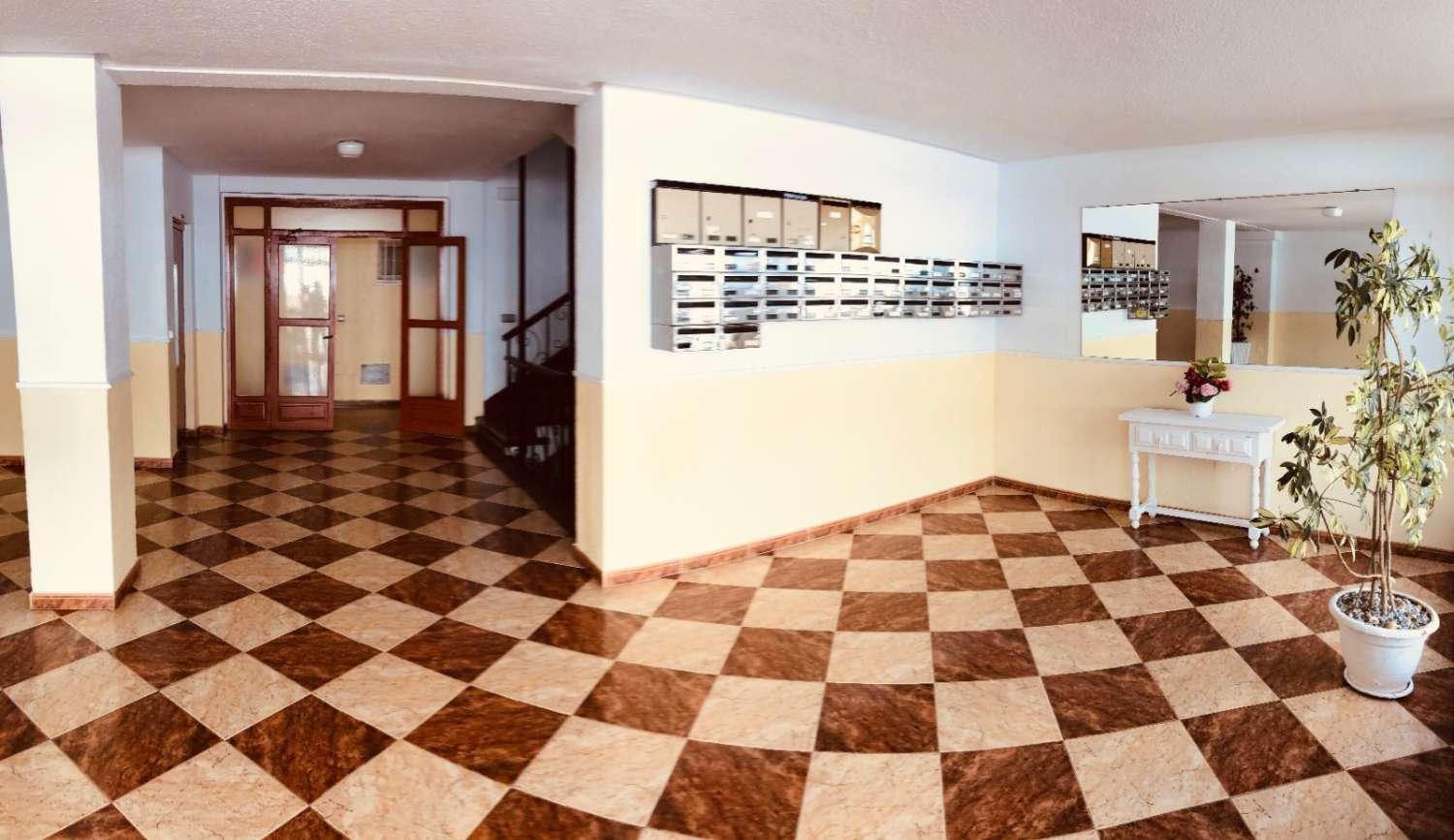 Studio for Rent in Torremolinos