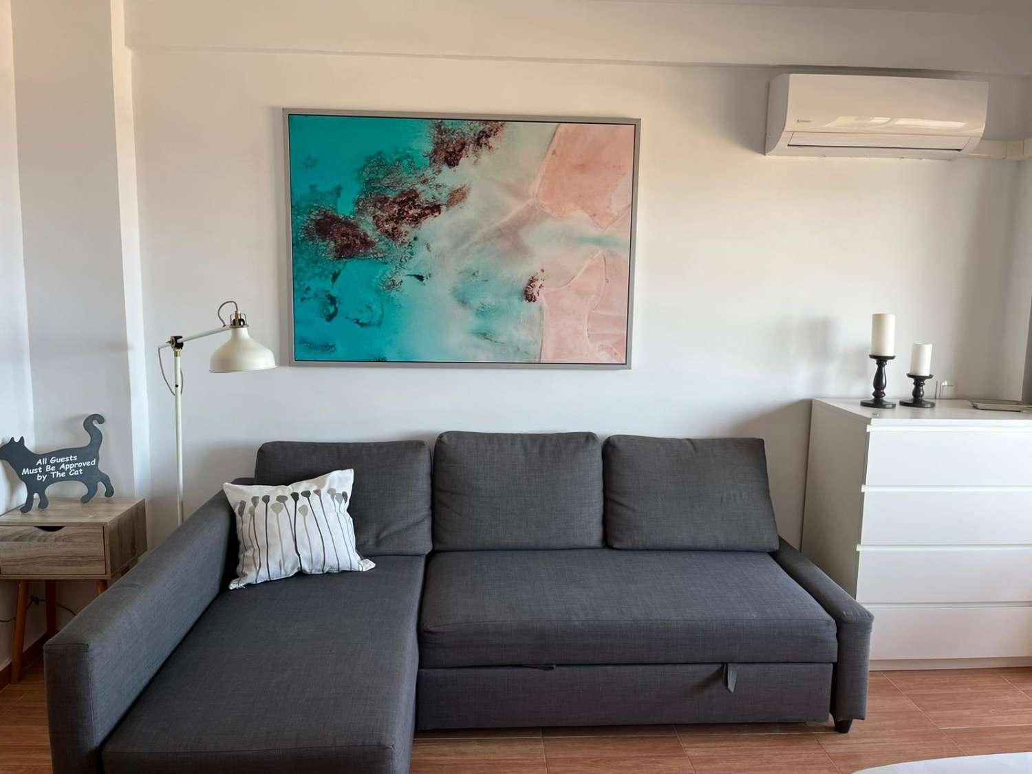 Studio for Rent in Torremolinos